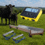 S3 Weigh Scale Package