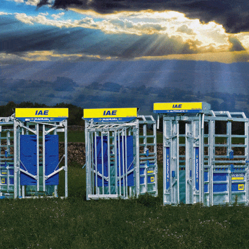 IAE 800 Series Cattle Crush Range