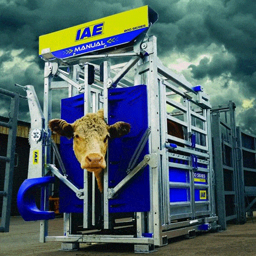 IAE 800 Series Cattle Crush Range
