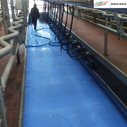 Mayo Parlour Anti-Fatigue Mat
