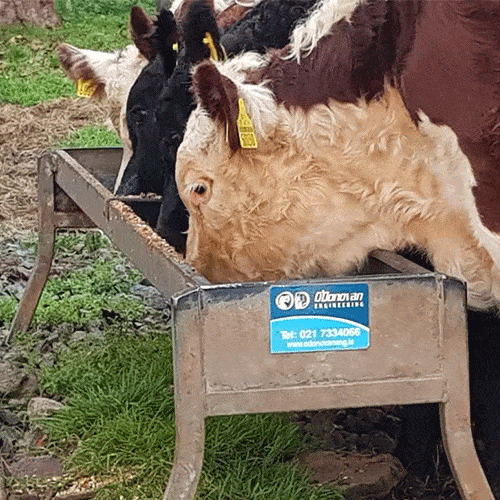 Free Standing Heavy Duty Trough